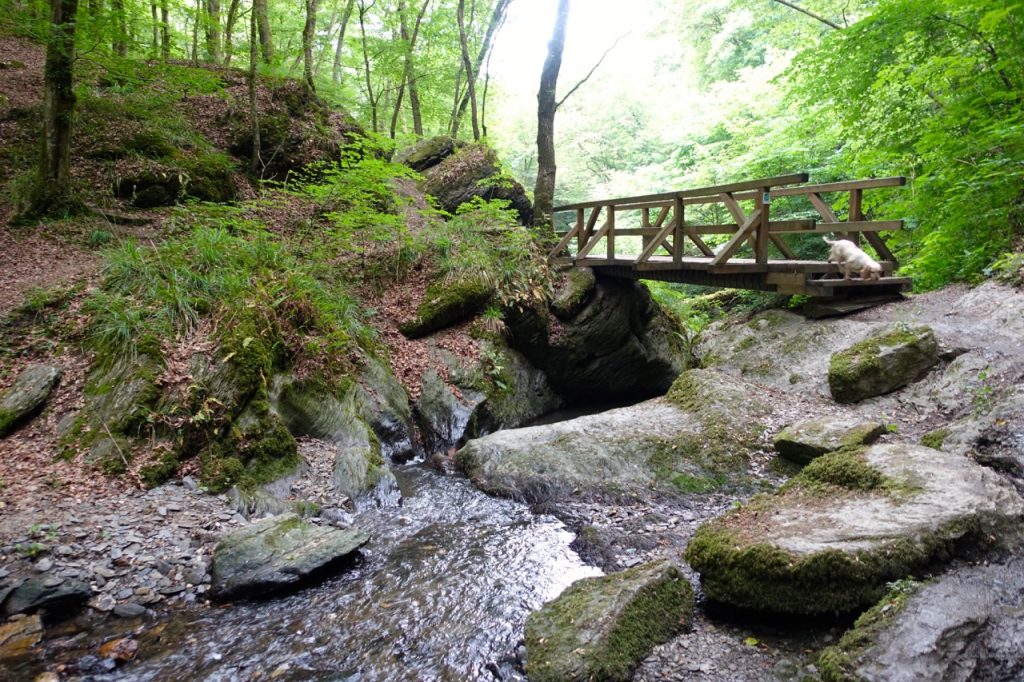 Traumschleife Ehrbachklamm