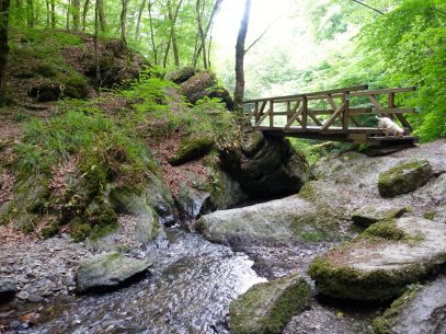 Traumschleife Ehrbachklamm