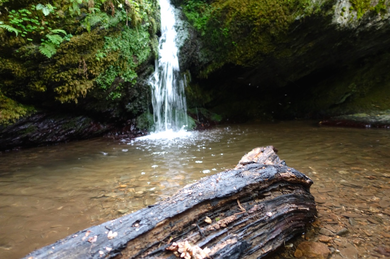 Traumschleife Ehrbachklamm – lauter Naturhighlights