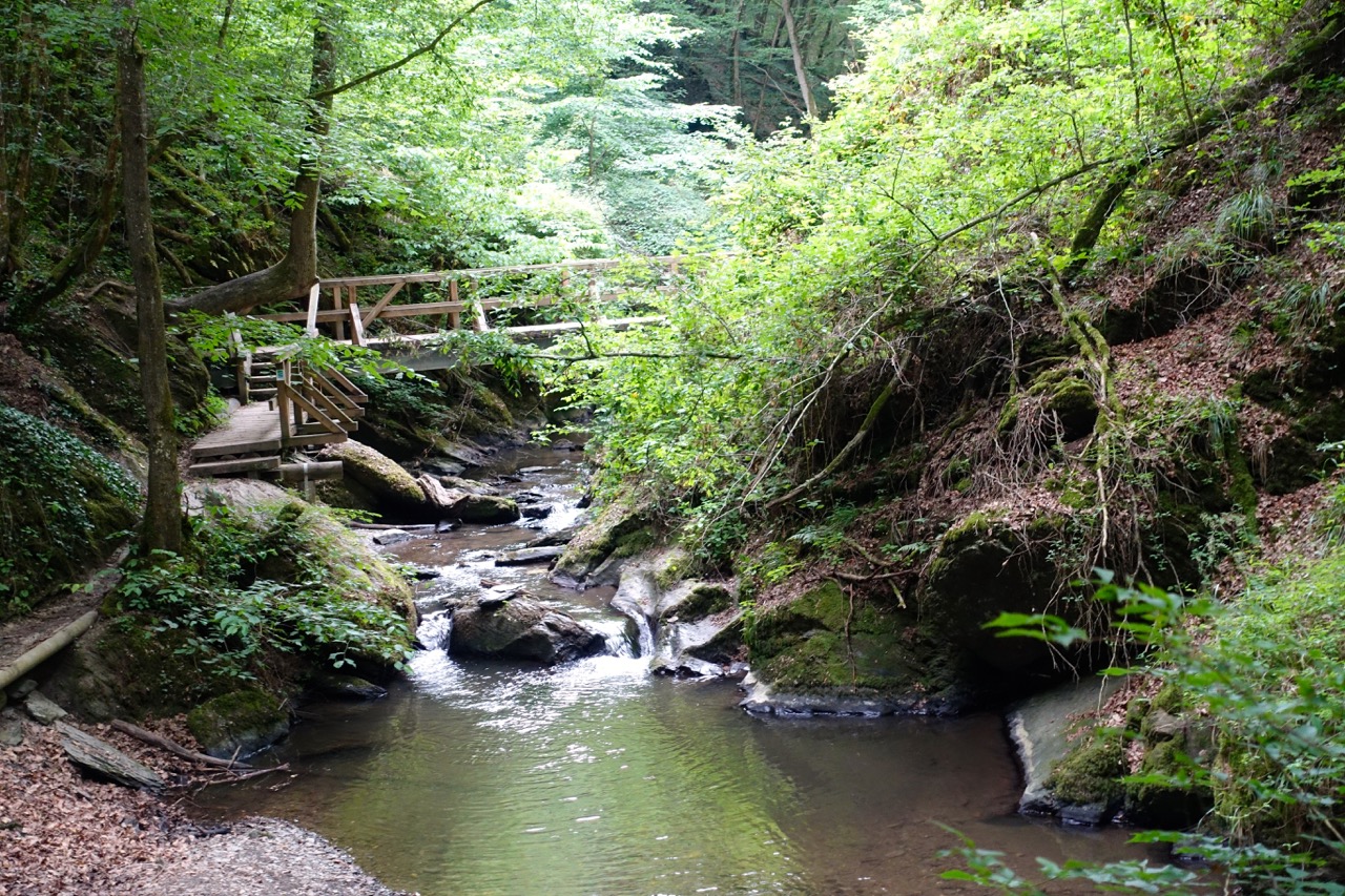 Der Weg durch die Ehrbach Klamm ist wirklich wunderbar