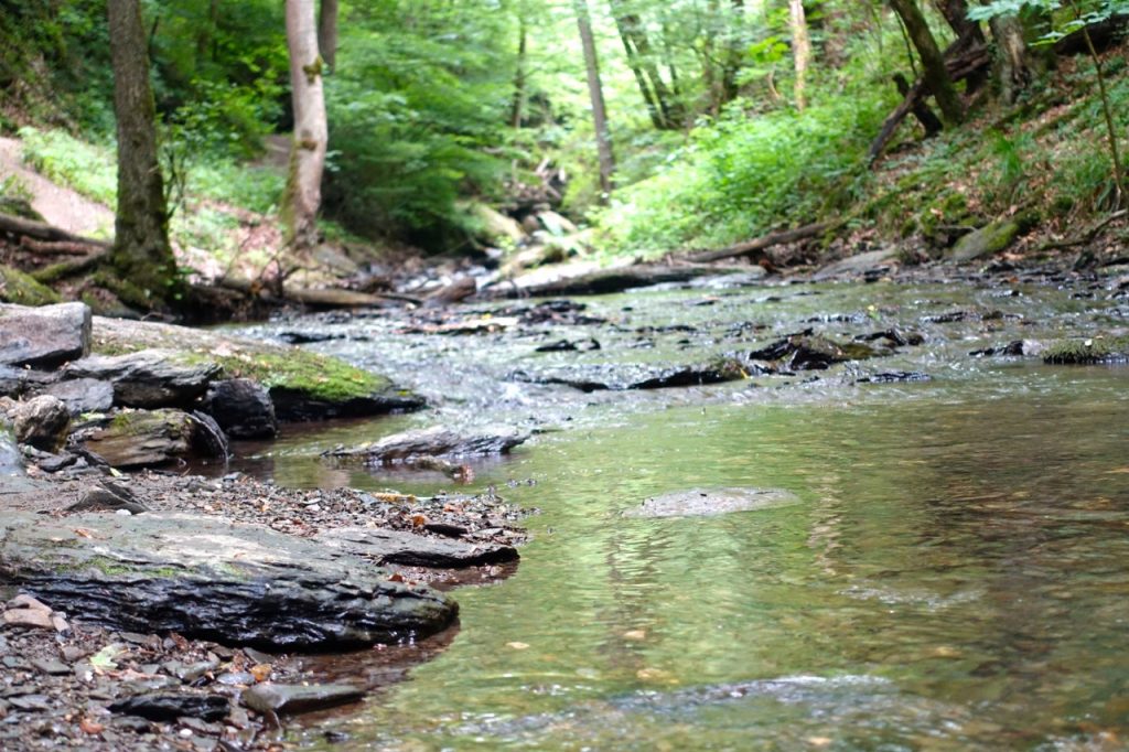 Schritt für Schritt durch die Ehrbachklamm