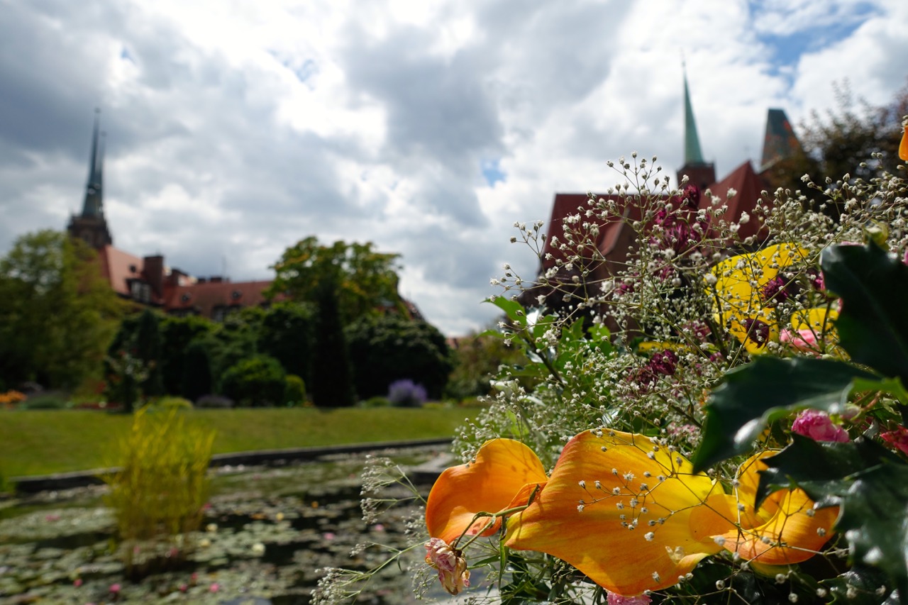 Blick aus dem Botanischen Garten Breslau