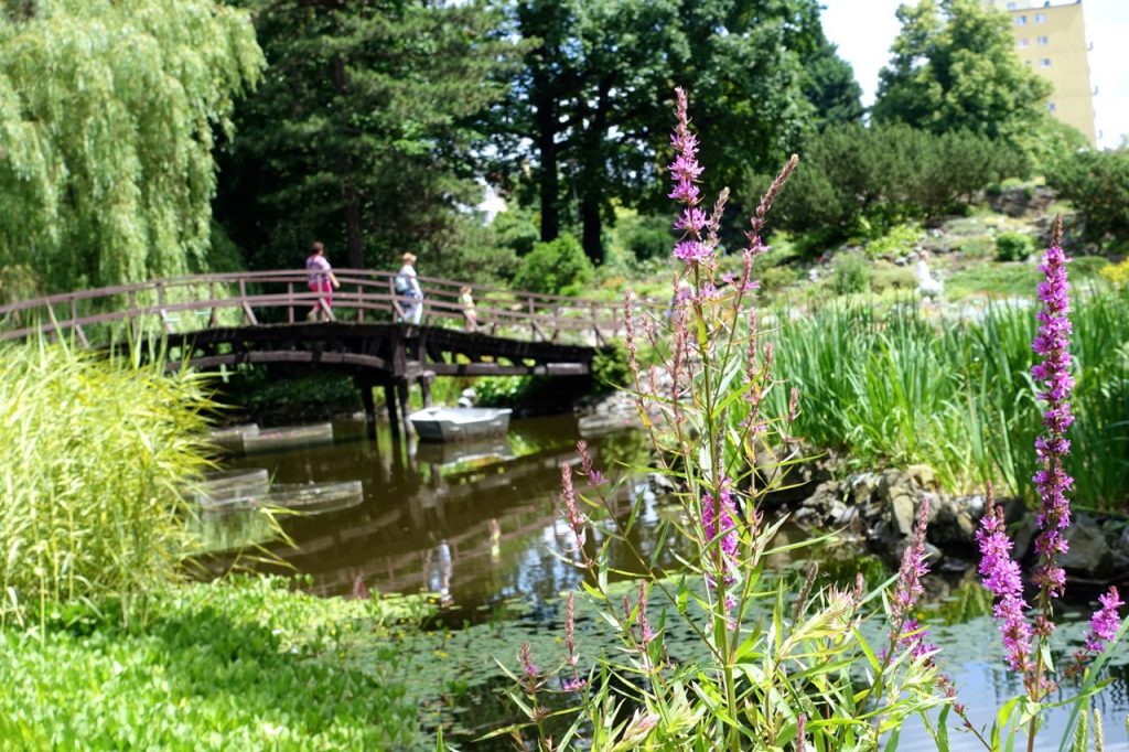 Botanischer Garten Breslau