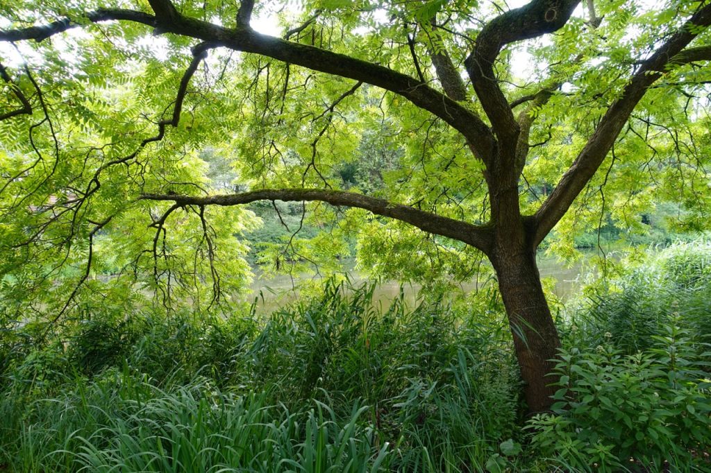 Wandern Hamburg E1 - Planten und Blomen