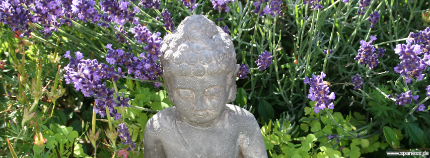 Facebook_Titel_Budha_Lavendel