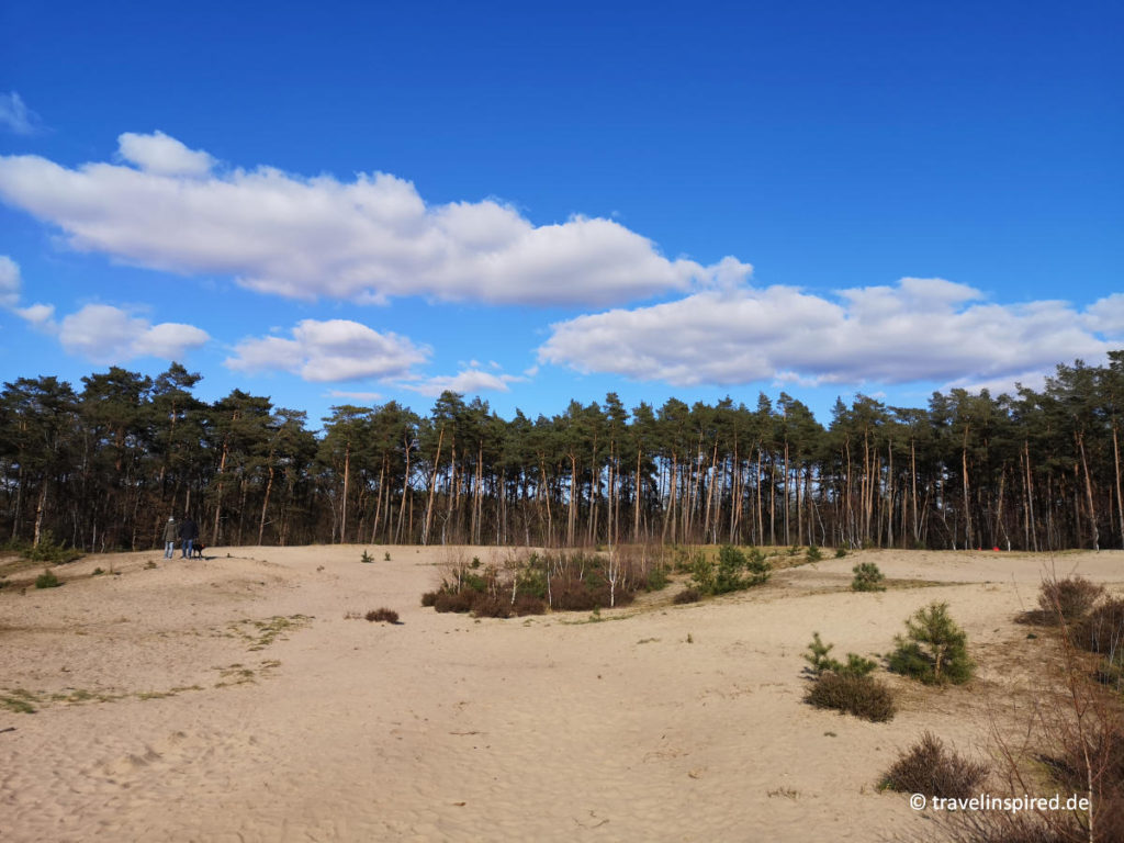 Ausflugsziele Hamburg Holmer Sandberge (travelinspired)