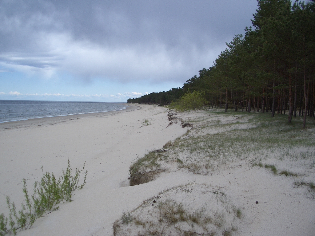Am Strand von Lettland