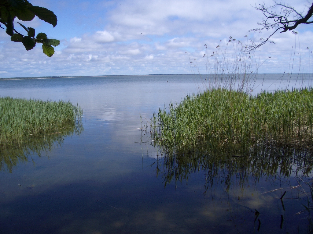 Coolcation Baltikum Kuhrische Nehrung 