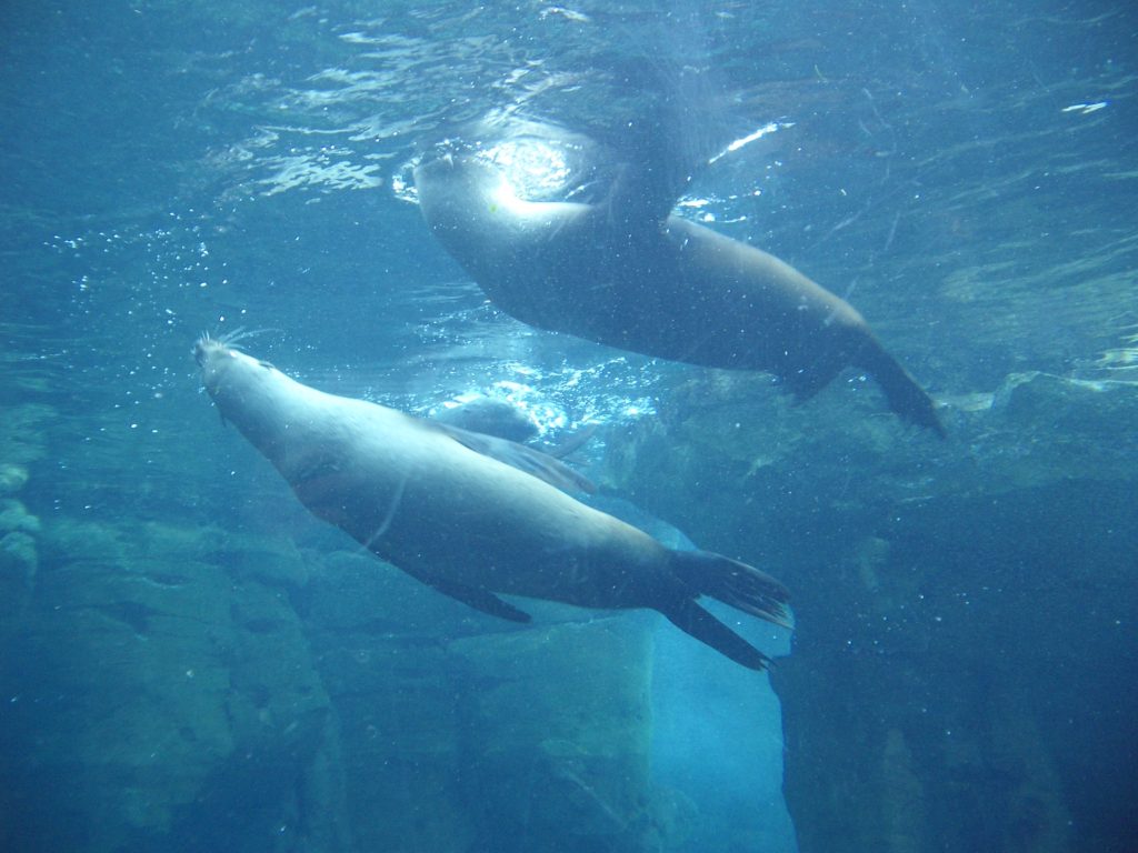 Zoo am Meer Bremerhaven