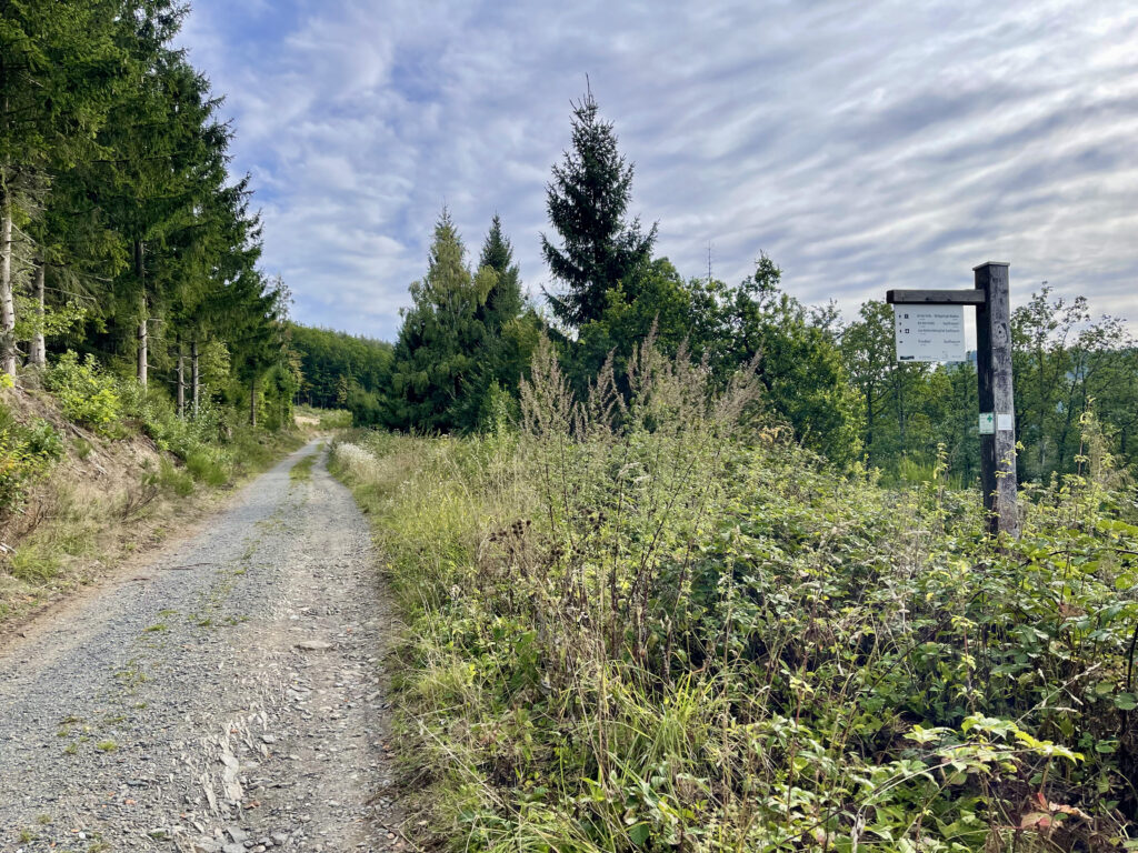 Wandern in Saalhausen Sauerland auf dem Weg zum Seelenort Rhinsleyfelsen