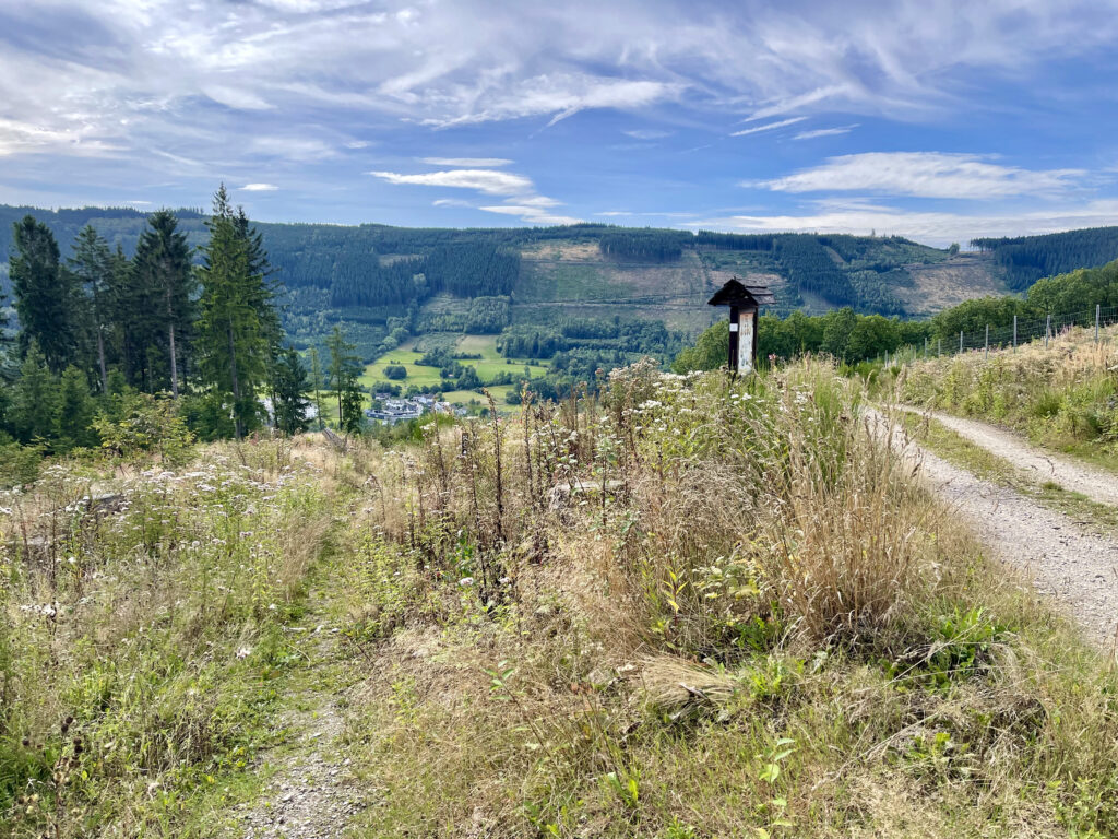 Wanderung Saalhausen Rhinsleyfelsen, Walderlebnispfad und Familienwanderweg