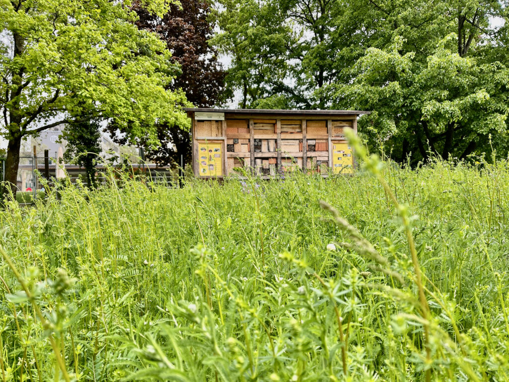 Insektenhotel im Gesundheitsgarten Bad Nauheim