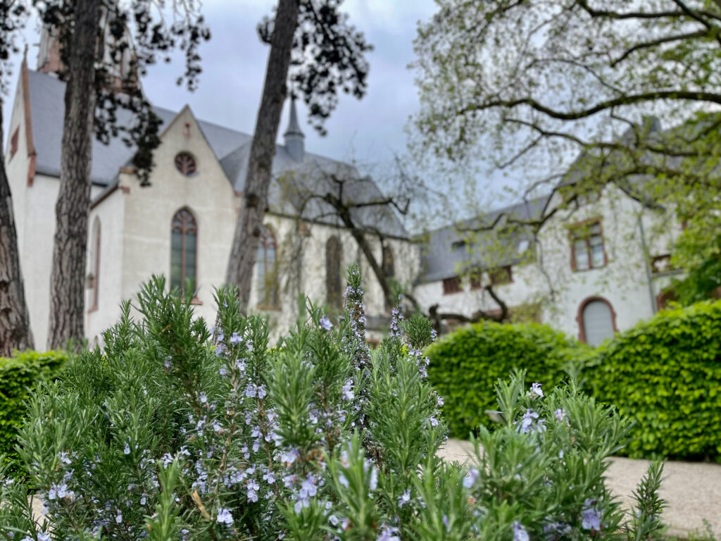 Blick vom Gesundheitsgarten Bad Nauheim