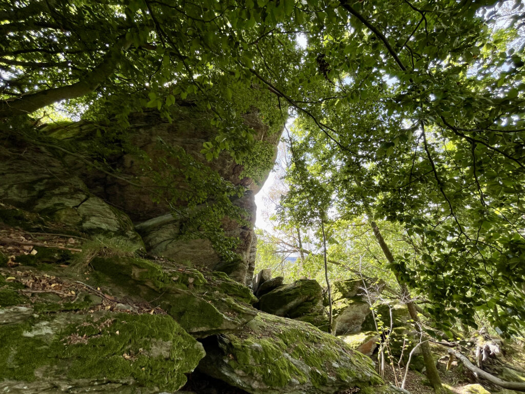 Seelenort Rhinsleyfelsen in Saalhausen Lennestadt Kirchhundem im Sauerland