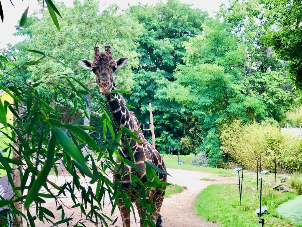 Zoo Duisburg