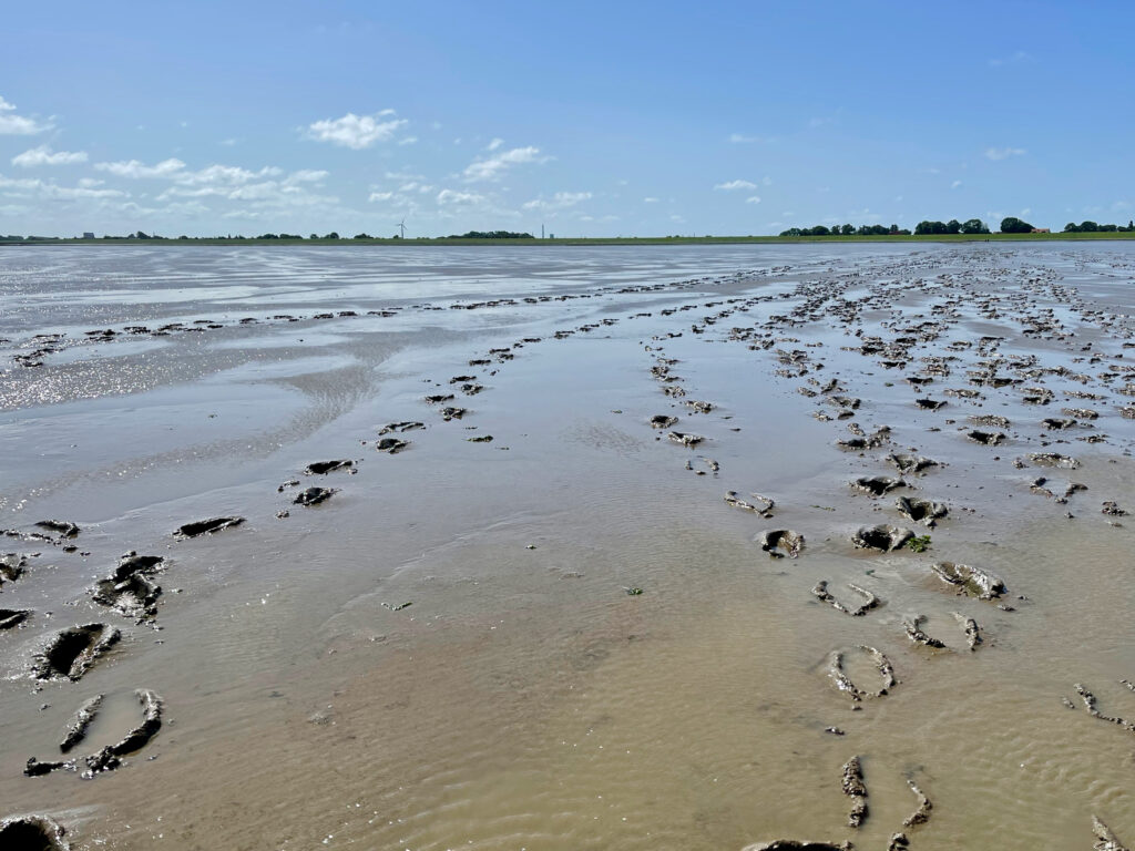 Thalassotherapie ganz natuerlich