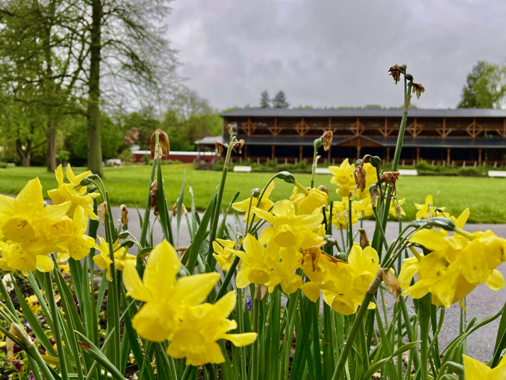 Bad Salzhausen Gradierwerk