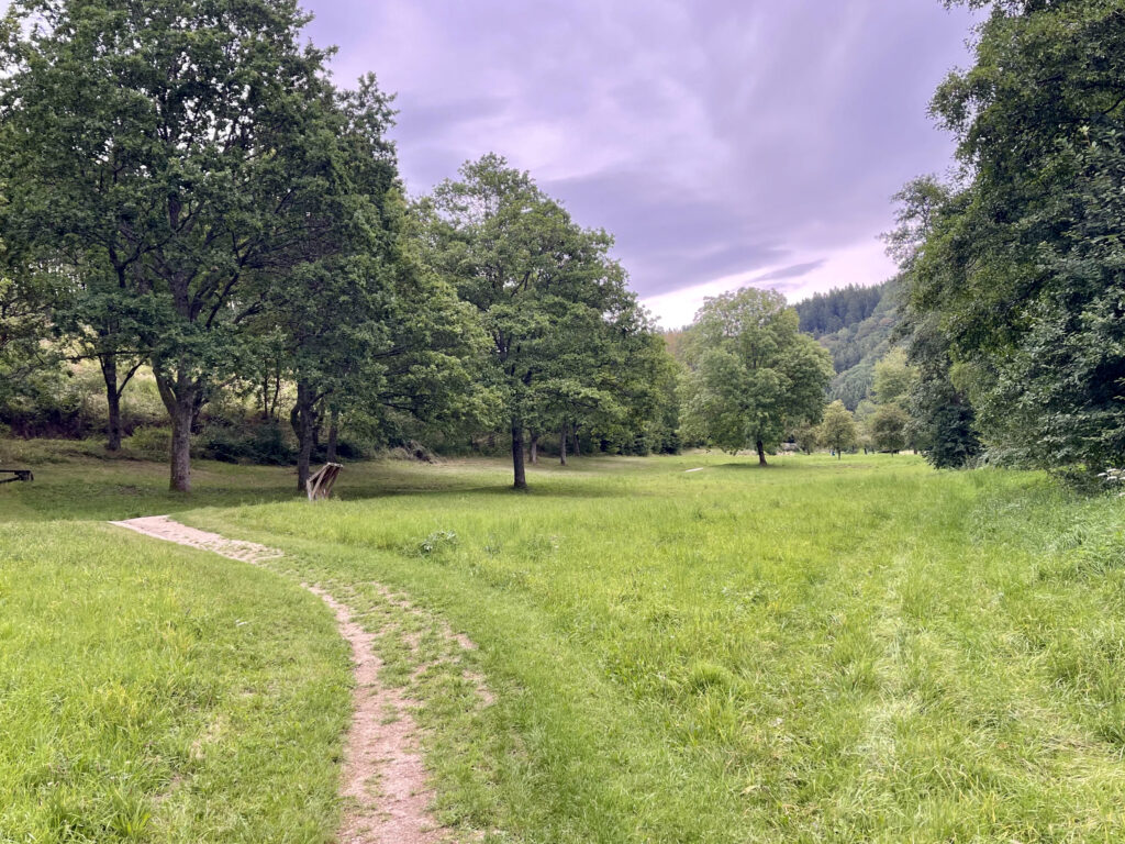 Kurpark in Oberhundem, der Luftkurort bietet viele kostenfreie Angebote gerade fuer Familien