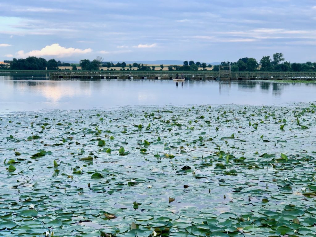 Auch im Seeburger See befindet sich ein Naturschwimmbad