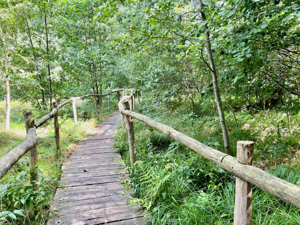 Lausitzer Seenland Sehenswuerdigkeiten