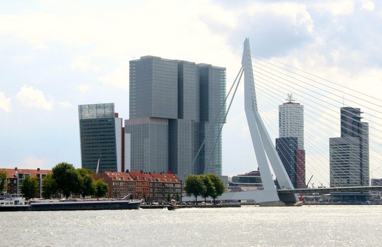Rotterdam Skyline Erasmus Bruecke