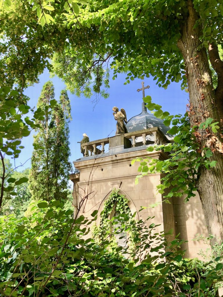 Auf dem Weg zum Weinberg Schlieben