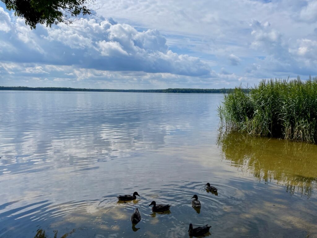 Badesee Lausitzer Seenplatte