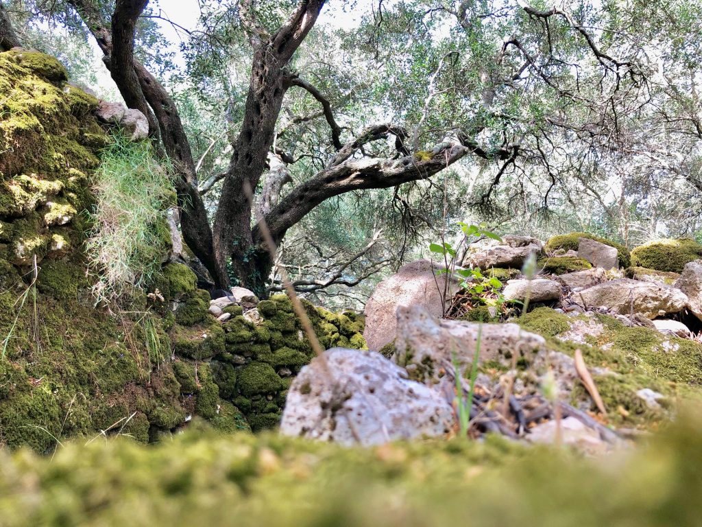 Unterwegs auf dem corfu Trail auf Korfu