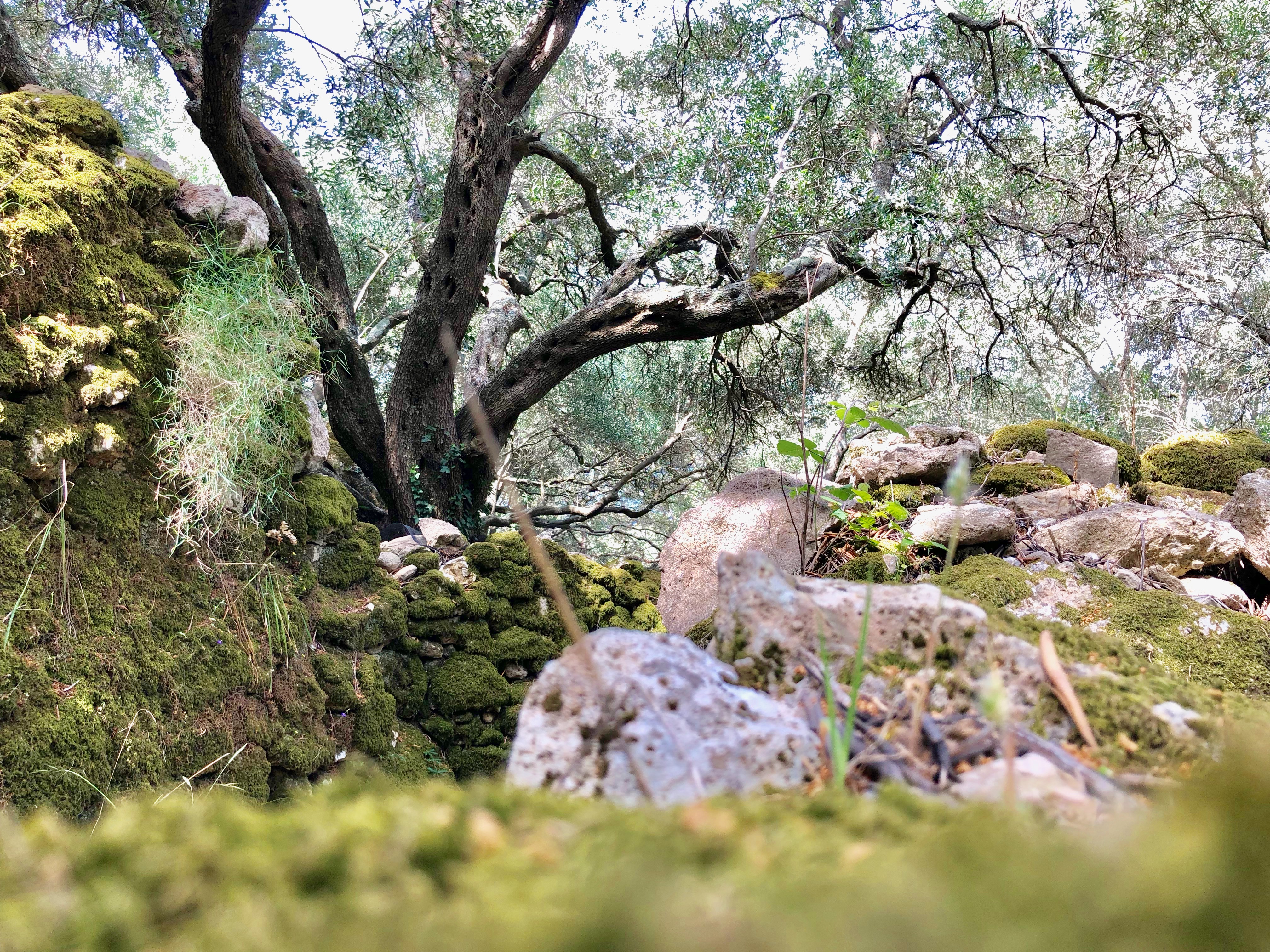 Unterwegs auf dem corfu Trail auf Korfu