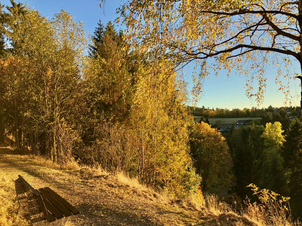 Wanderung Harz