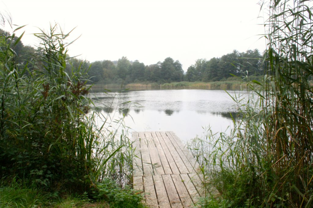 Badeseen im Harz