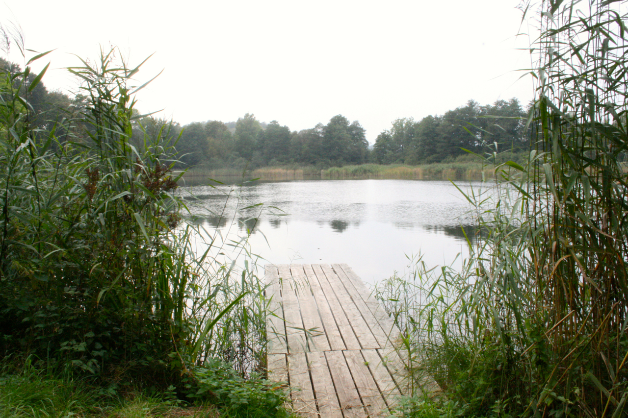 Badeseen im Harz