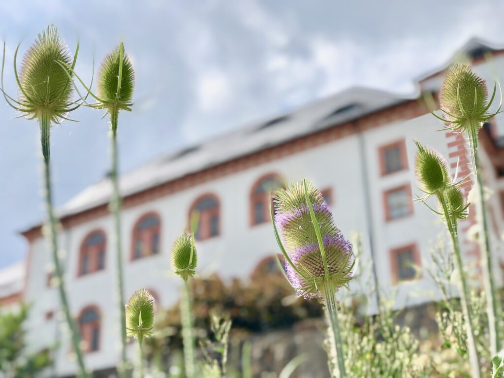 Chemnitz Sehenswuerdigkeiten