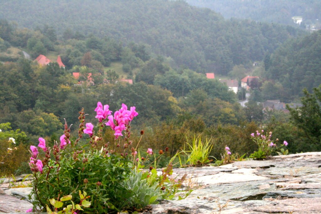 Burg Bernstein Aussicht