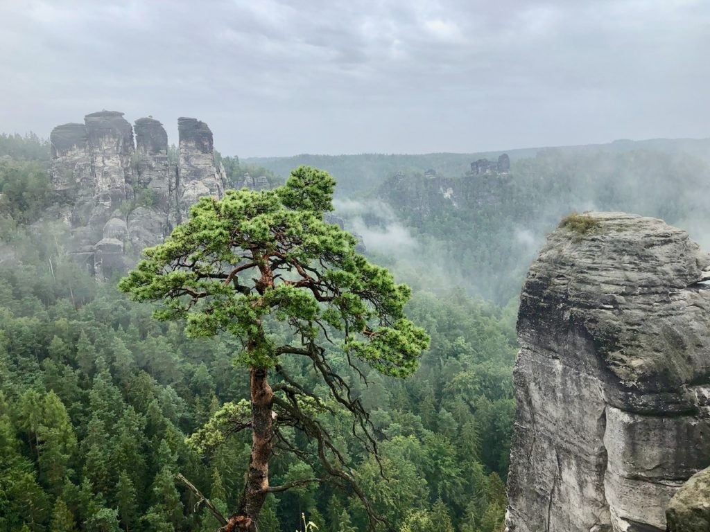 Wandern Sächsische Schweiz