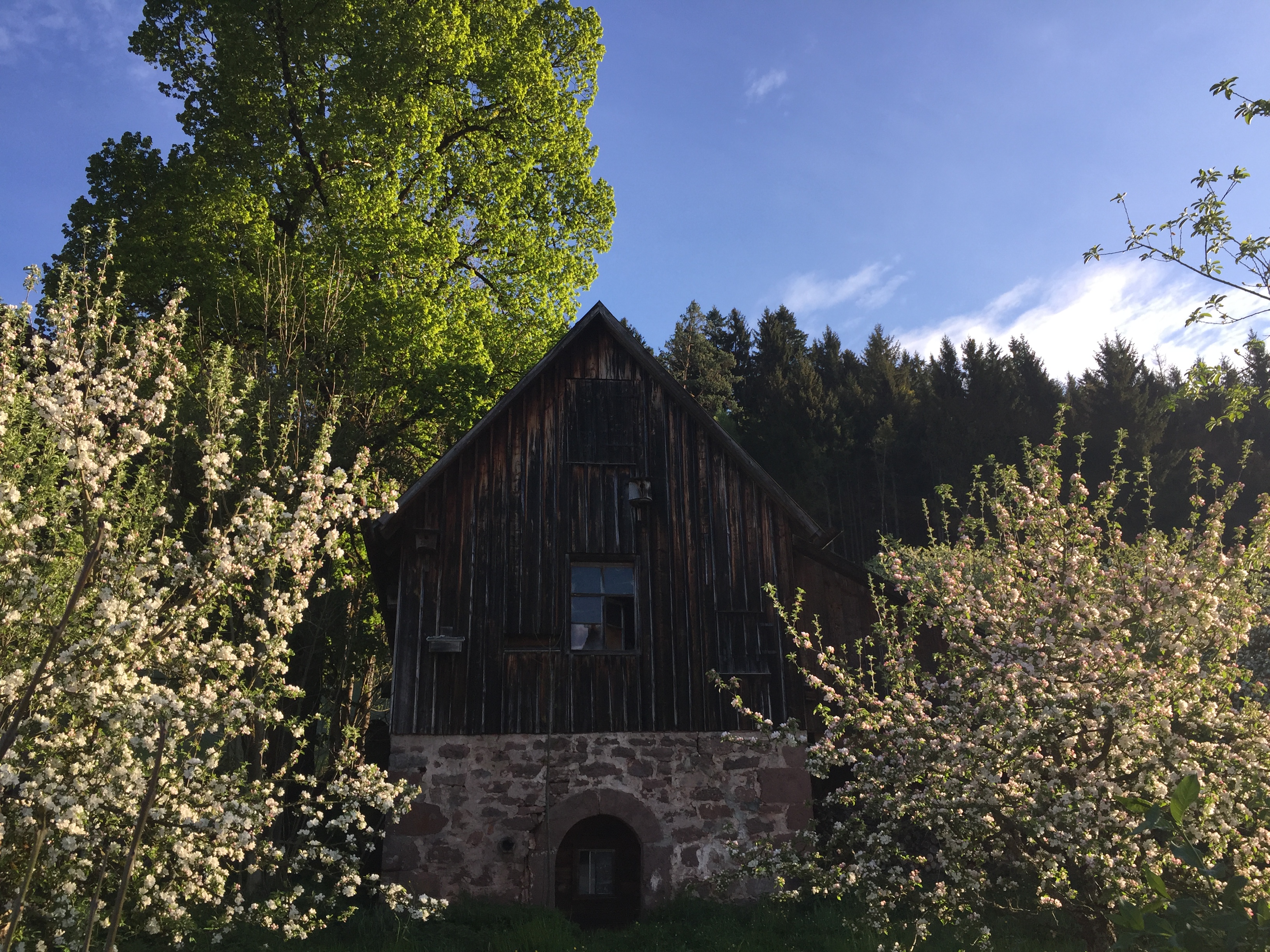 Schwarzwald Idylle pur