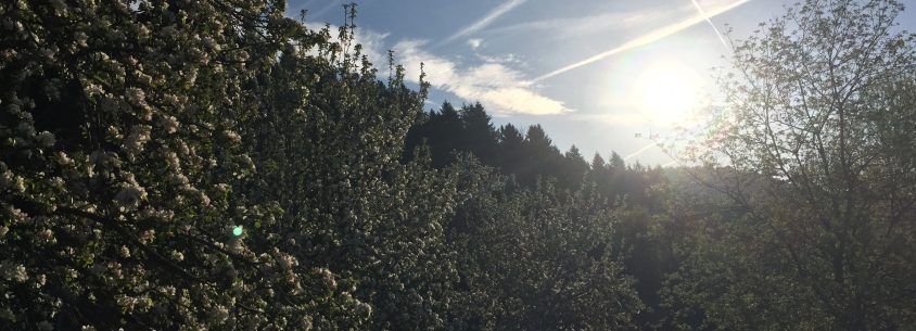 Schwarzwald Urlaub