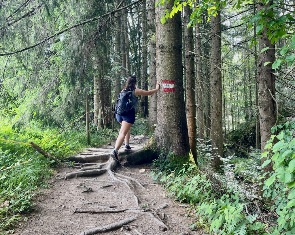 Wandern St. Johann Tirol