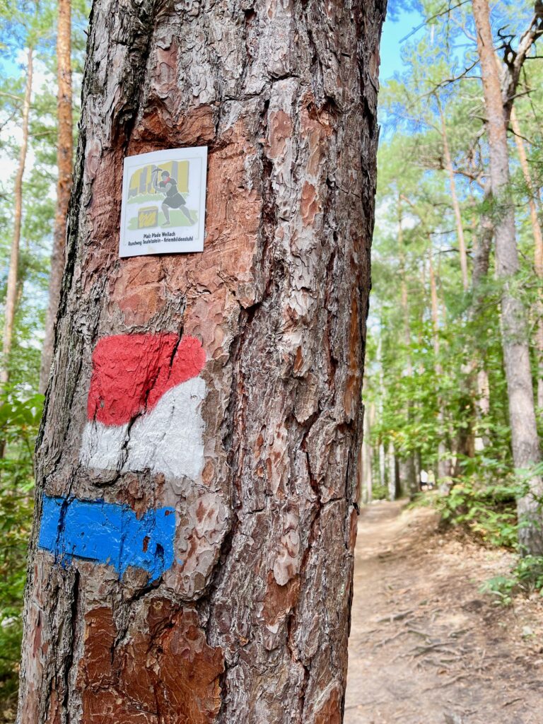 Wandern Bad Duerkheim