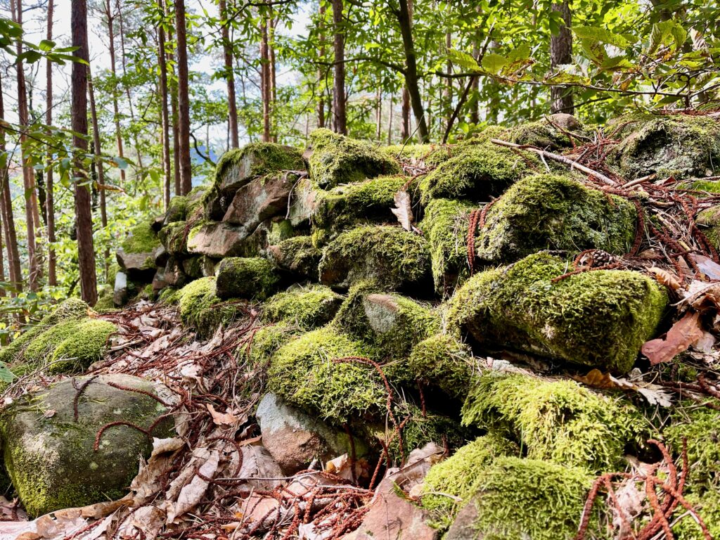 Keltischer Ringwall Bad Duerkheim