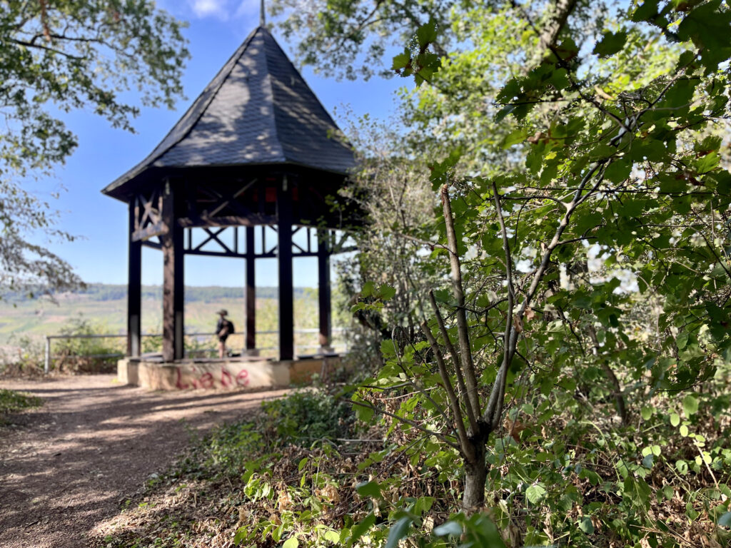 Auf dem Rochusburg am Pavillion mit Blick ueber Bingen 