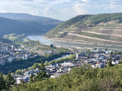 Wellness nach Hildegard von Bingen: Auf Spurensuche in Bingen