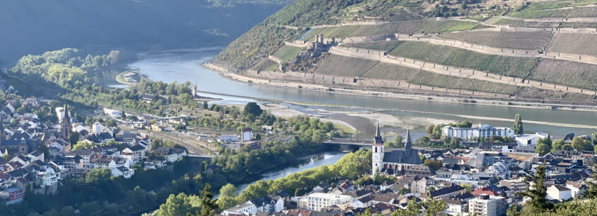 Blick ueber Bingen vom Turm auf dem Rochusberg Bingen
