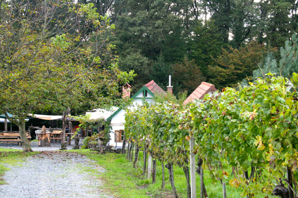 Buschenwirtschaft Suedburgenland