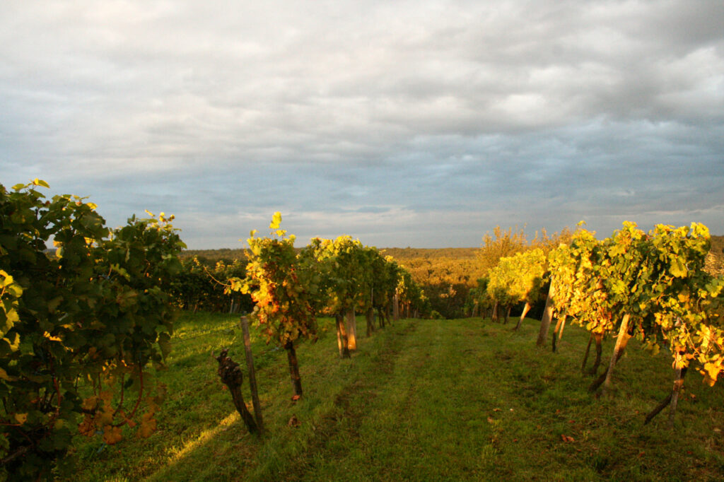 Naturpark Weinidylle Burgenland