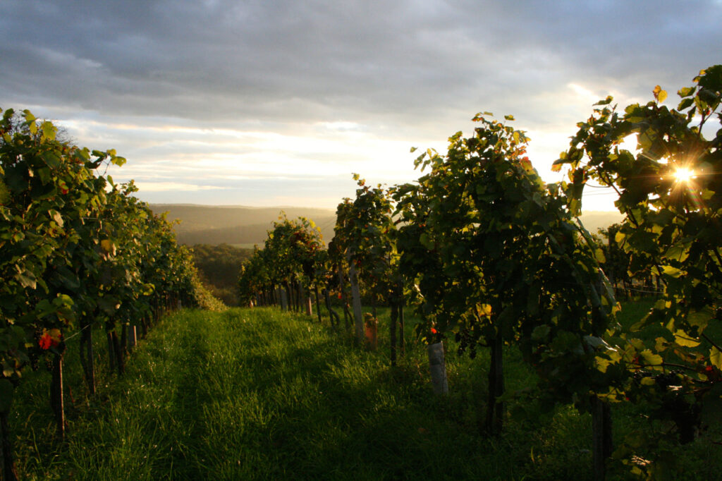 Urlaub im Burgenland