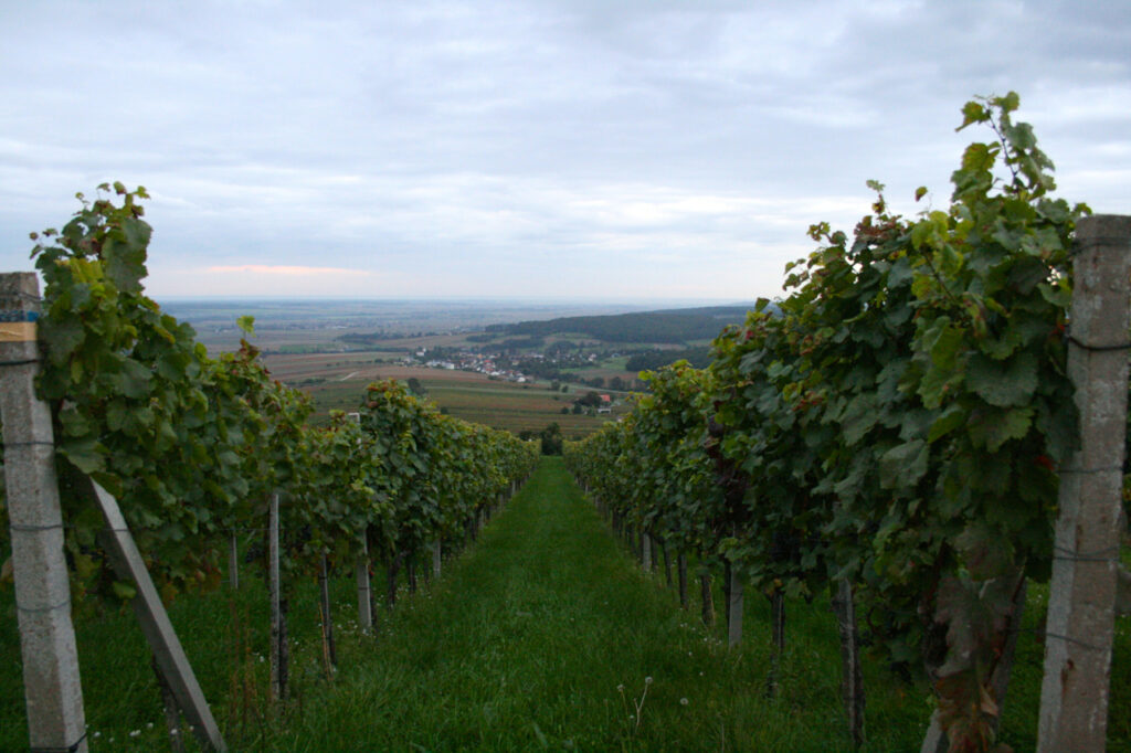 Suedburgenland Oesterreich