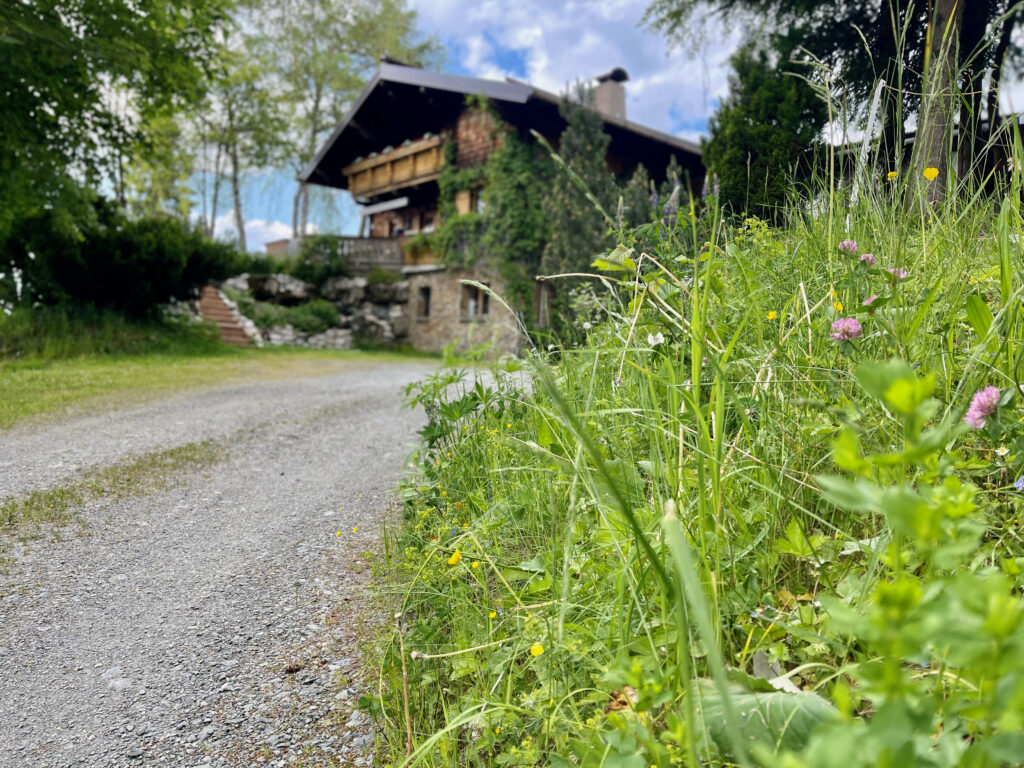 kitzbueheler-alpen