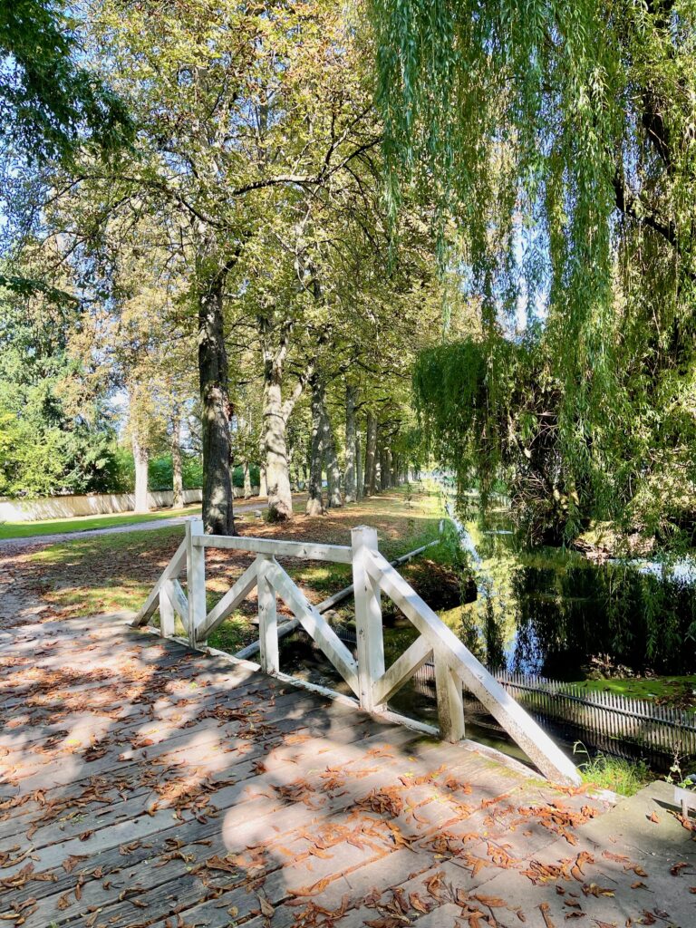 Sehenswuerdigkeiten Pfalz Schlosspark Schwetzingen