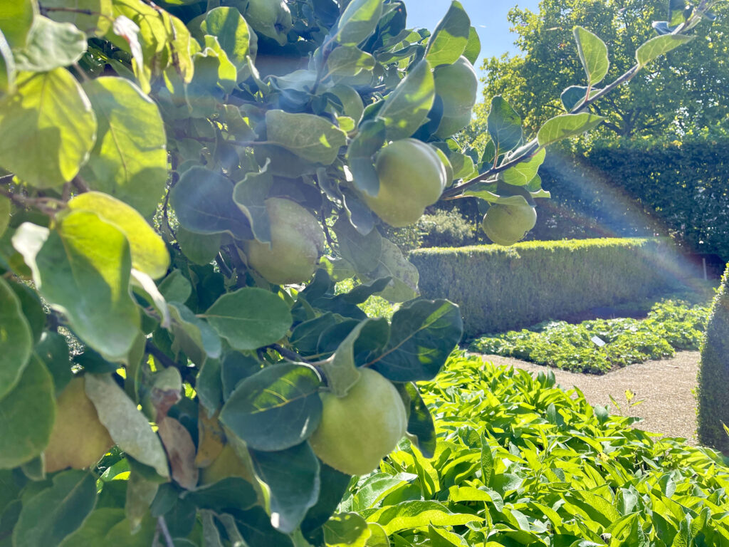 Im Hildegarten am Rhein neben dem Museum am Strom